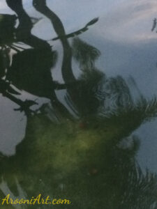 ArooniArt Composition Photography 241