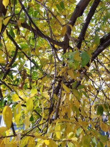 ArooniArt Composition Photography 35