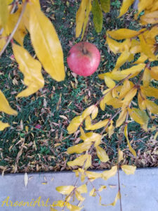 ArooniArt Composition Photography 36