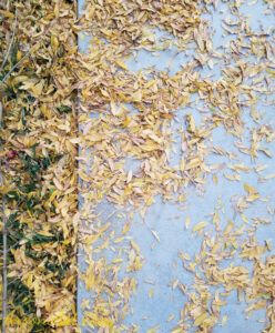 ArooniArt Composition Photography 38