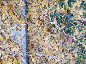 ArooniArt Composition Photography 44