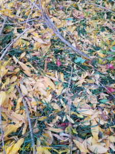 ArooniArt Composition Photography 45