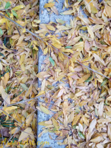 ArooniArt Composition Photography 46