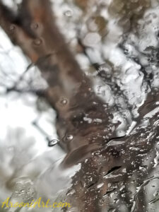 ArooniArt Composition Photography 64