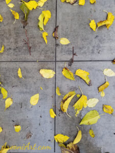 ArooniArt Composition Photography 66