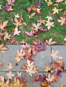 ArooniArt Composition Photography 68