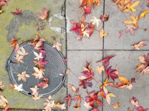 ArooniArt Composition Photography 69