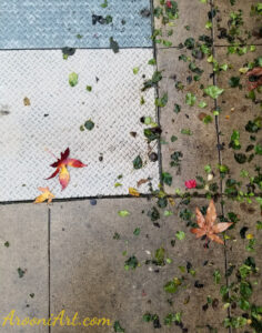 ArooniArt Composition Photography 72