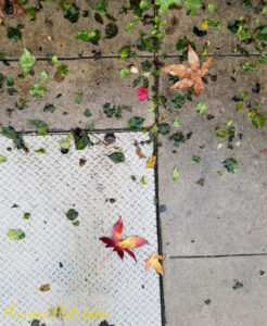 ArooniArt Composition Photography 73