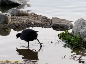 ArooniArt Composition Photography 74