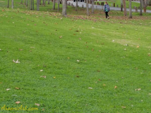 ArooniArt Composition Photography 78