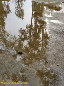 ArooniArt Composition Photography 80