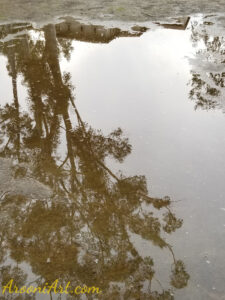 ArooniArt Composition Photography 81