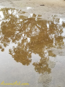 ArooniArt Composition Photography 82