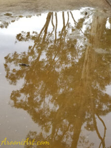 ArooniArt Composition Photography 83