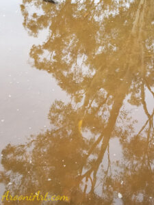 ArooniArt Composition Photography 84