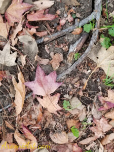 ArooniArt Composition Photography 91