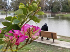 ArooniArt Composition Photography 95