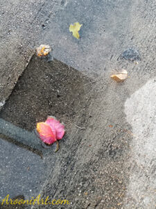 ArooniArt Composition Photography 96