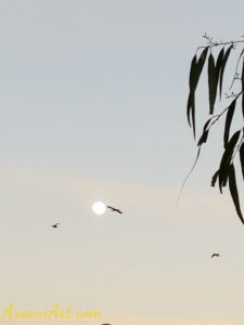 ArooniArt The Beyond 10