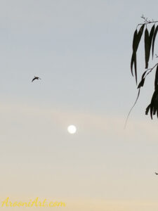 ArooniArt The Beyond 12