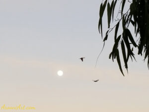 ArooniArt The Beyond 13