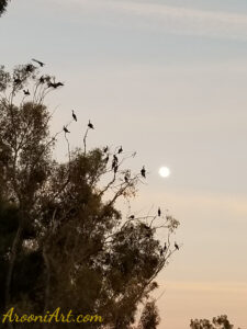 ArooniArt The Beyond 14