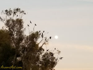 ArooniArt The Beyond 15