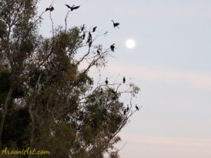 ArooniArt The Beyond 16