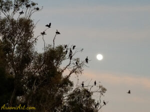 ArooniArt The Beyond 17