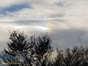 ArooniArt The Beyond 20