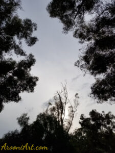 ArooniArt The Beyond 21