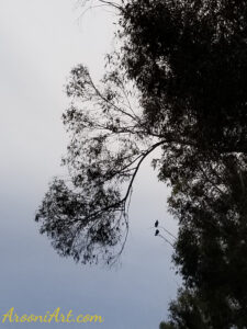 ArooniArt The Beyond 23