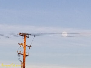 ArooniArt The Beyond 7