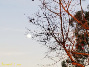 ArooniArt The Beyond 8